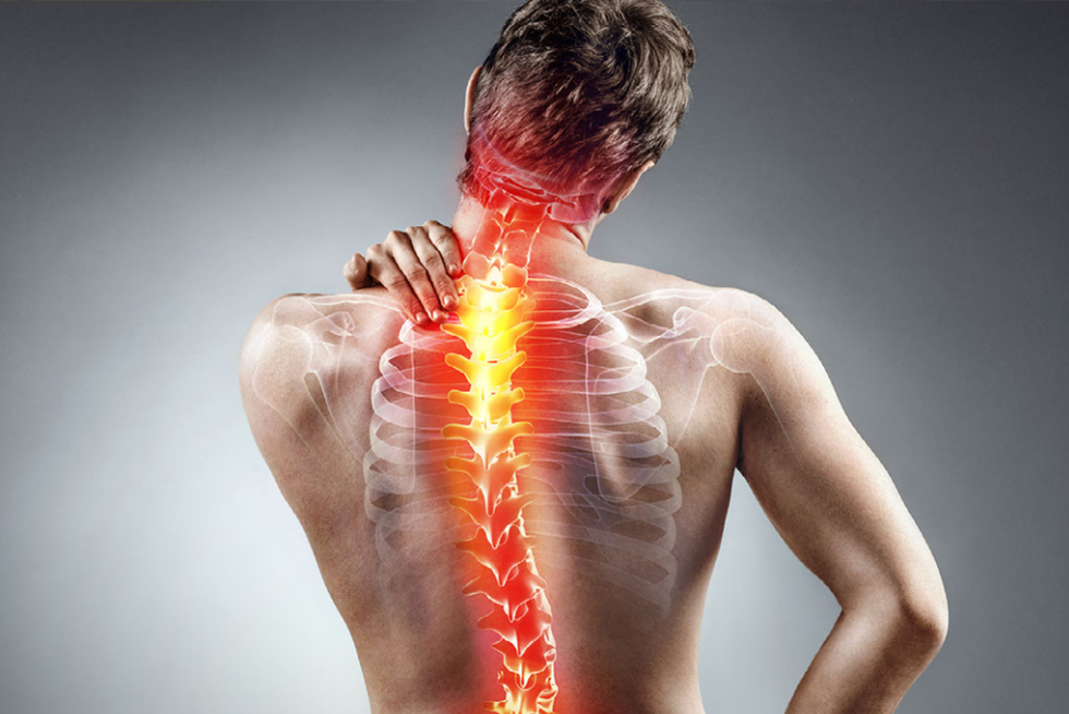 prévention troubles musculo-squelettiques actualités manut-lm